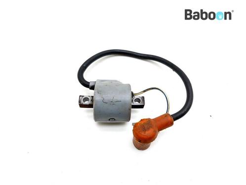 Bobine Aprilia STX 125 Hiro Engine, Motoren, Onderdelen | Overige, Verzenden