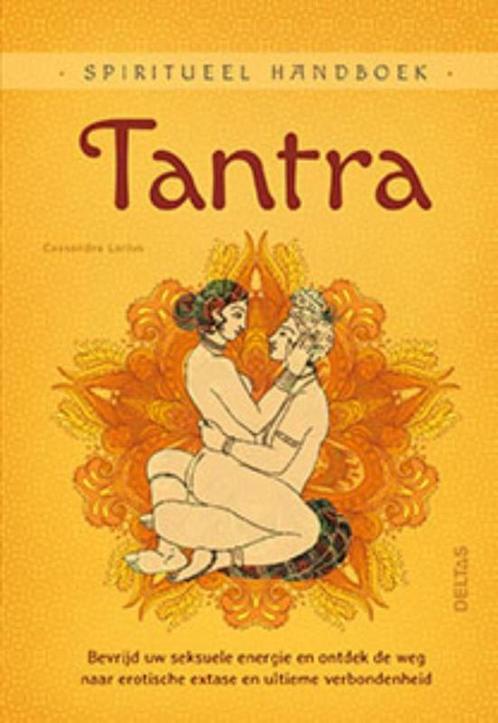 Spiritueel handboek  -   Tantra 9789044747812, Boeken, Hobby en Vrije tijd, Zo goed als nieuw, Verzenden