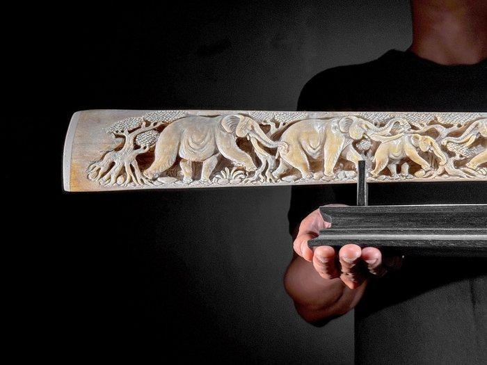 Geen minimale prijs - Fijn groot zwaardvishaals op een, Antiek en Kunst, Kunst | Designobjecten