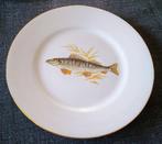 Richard Ginori - Tafelservies voor 12 (13) - vissen -