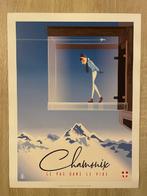 Monsieur Z - Affiche de Tourisme Pas dans le vide -