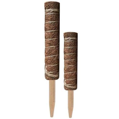 Mosstok kokosstok planten totems set 50 + 30 cm opbinden van, Huis en Inrichting, Woonaccessoires | Kunstplanten en Kunstbloemen