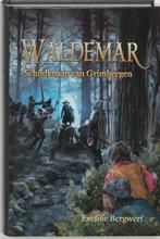 Waldemar, Schildknaap Van Grimbergen 9789033120695, Eveline Bergwerf, Verzenden