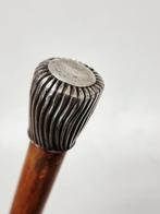 Wandelstok - Hout, Antiek en Kunst