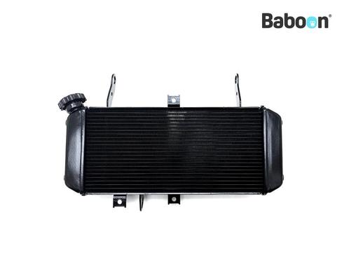 Radiateur Suzuki SV 650 2004 (SV650N SV650S SV650 K4), Motoren, Onderdelen | Suzuki, Verzenden