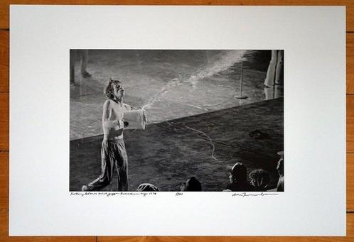 Allan Tannenbaum (1945) - Mick Jagger Palladium Nyc 1978, Antiek en Kunst, Kunst | Schilderijen | Modern