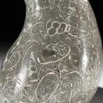 Sculpture de champignon en turritella faite à la main - Sans, Antiquités & Art