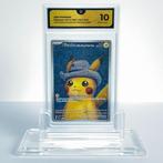 Pikachu With Grey Felt Hat - Van Gogh Museum Promo #085