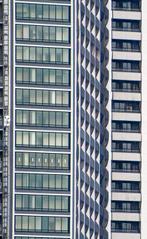 David Law - Tokyo 123. (Panoramique)
