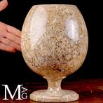 Fossiel sediment Grote ornamentale beker van fossielmarmer -