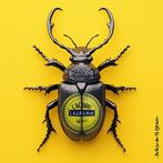 F2B - BeetleCan Zan 1I8