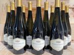 2019 Poggiobello Friuli Sauvignon - Veneto - 12 Flessen, Verzamelen, Wijnen, Nieuw