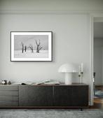 Stefano Balma - Dust, Elegance, Time 3