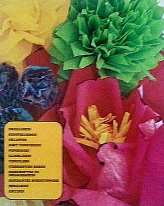 Kreatief zyn thuis emailleren 9789061822363, Boeken, Overige Boeken, Gelezen, Verzenden