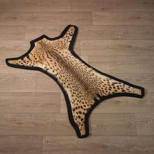 Serval Huid Taxidermie Opgezette Dieren By Max, Verzamelen, Dierenverzamelingen, Opgezet dier, Nieuw, Wild dier, Ophalen of Verzenden