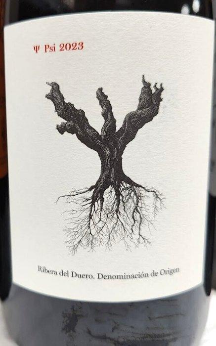 2023 Psi Dominio de Pingus & 2022 Cillar de silos, Torre, Collections, Vins