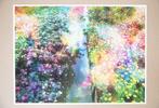 Viet Ha Tran - Flower dreams