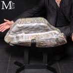 Monumentaal specimen - sectie van natuurlijke geode Grote