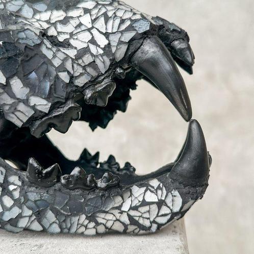 GEEN MINIMUMVERKOOPPRIJS - Prachtige tijgerschedel met inleg, Antiek en Kunst, Kunst | Designobjecten