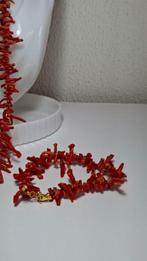 Bloedkoraal Koraal - Corallo rubrium (Zonder minimumprijs)