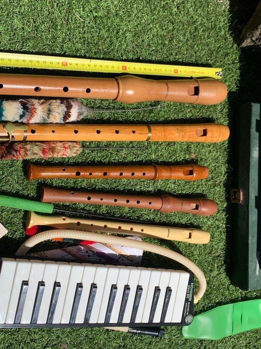 Collection of 5 Vintage Recorders (Hohner, Adler, Roessler,, Muziek en Instrumenten, Blaasinstrumenten | Blokfluiten