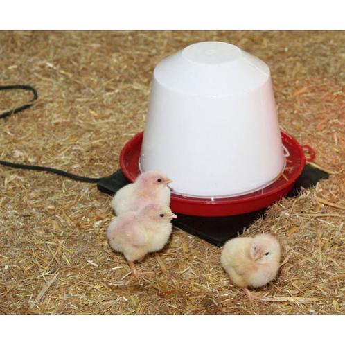 Verwarming plaat rubber 24x24cm 18w 12v voor pluimvuimvee, Dieren en Toebehoren, Pluimvee | Toebehoren, Nieuw