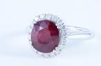 Zonder Minimumprijs - Ring Platina - 3.92ct. tw. Robijn -, Nieuw