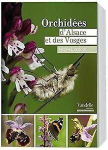 Orchidées dAlsace et des Vosges von Michel Gissy  Book, Boeken, Overige Boeken, Zo goed als nieuw, Verzenden