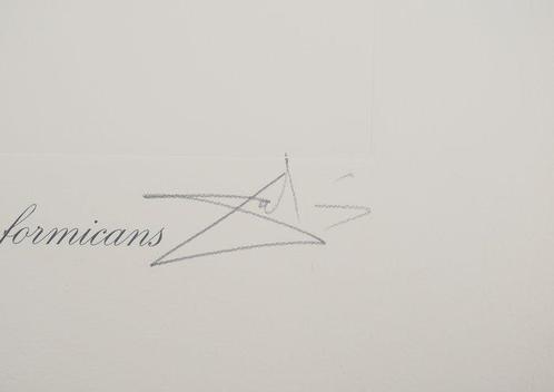Salvador Dali (1904-1989) - Lilium : Lys surréaliste et, Antiek en Kunst, Antiek | Overige Antiek