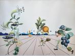 Salvador Dali (1904-1989) - Flordali I, Antiek en Kunst