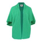 AVA studio • groen gebreid vest • XL, Kleding | Dames, Verzenden, Maat 42/44 (L), AVA studio, Nieuw