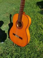 Ricardo Sanchís - Unknown - - Guitare flamenco - Espagne, Muziek en Instrumenten, Snaarinstrumenten | Gitaren | Akoestisch, Nieuw