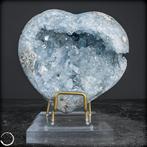 Natuurlijke Celestiet Druzen/Hart- 1074.1 g