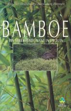 BAMBOE 9789021523149, Livres, Nature, Doesburg, Jan van, Biemen, Hans van, Verzenden