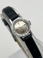 Omega - Vintage Manual Winding - Zonder Minimumprijs - Dames, Nieuw
