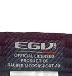 Sauber Alfa Romeo - Charles Leclerc - Pet