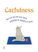 Catfulness 9789022581216, Livres, Psychologie, Paolo Valentino, Verzenden