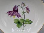 KPM - Bol - With Columbine flower décor - Porcelaine, Antiek en Kunst