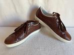 Tods - Chaussures à lacets - Taille : EU 42.5, EU 43, Nieuw