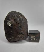 Meteoriet: El Menia L5, waargenomen in de herfst van 2023.