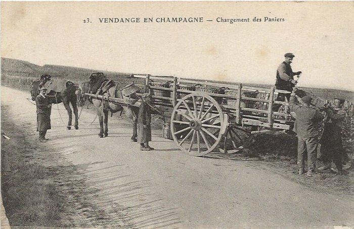 Frankrijk - CPA Allemaal geanimeerd, Wijngaardkaarten, Mooie, Verzamelen, Postkaarten | Buitenland