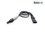 Capteur doxygène Benelli Tre-K 1130 2011-2017, Verzenden, Nieuw