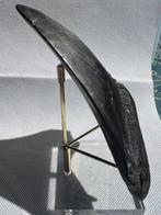 Megalodon - Fossiele tand - Carcharocles megalodon - 13.7 cm