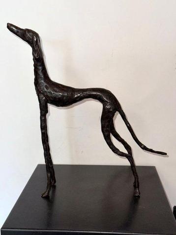 Abdoulaye Derme - sculptuur, Chien Lévrier - 33.5 cm - Brons beschikbaar voor biedingen