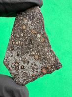 Zeldzame meteoriet CVred3 gebaseerd op lage Ni-concentraties