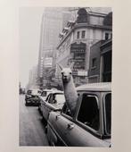 Inge Morath - A llama in Times Square. New York City, USA,