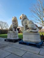 Statue, XXL Set Giant Lions - 180 cm - béton