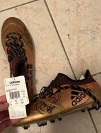 Italiaanse voetbal competitie - Nicolas Burdisso -