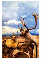 Roberto Cavalli (1971) - Into the wild / reliquary bull elk, Antiek en Kunst