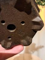 Jeneverbes bonsai (Juniperus) - Hoogte (boom): 11 cm -